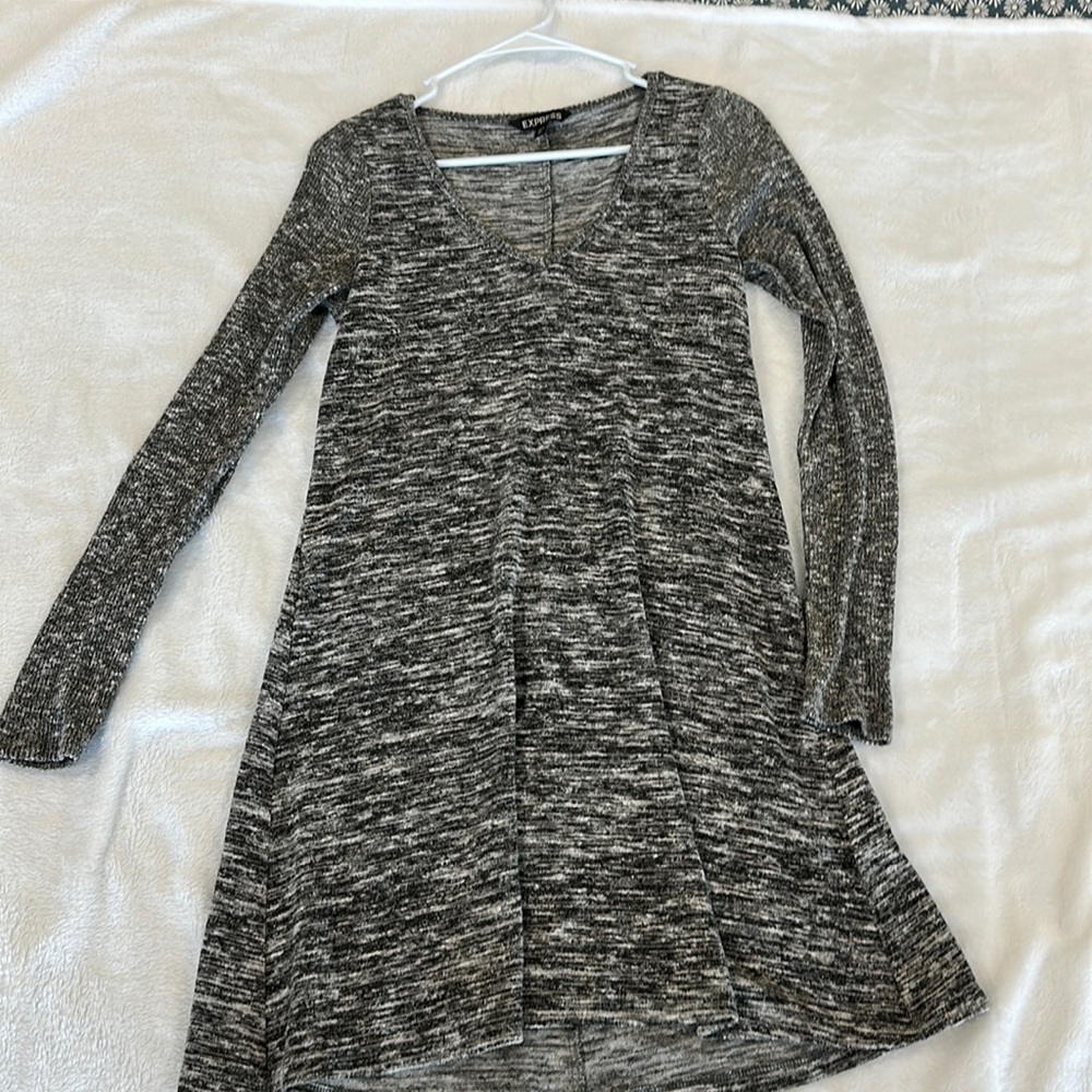 Express Sweater Dress